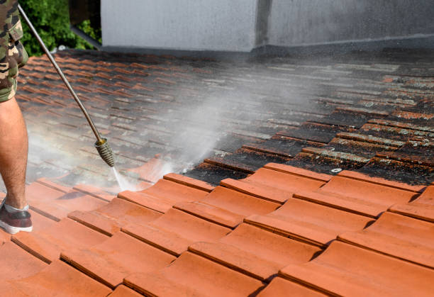 Best Affordable Pressure Washing  in Paradise Valley, AZ