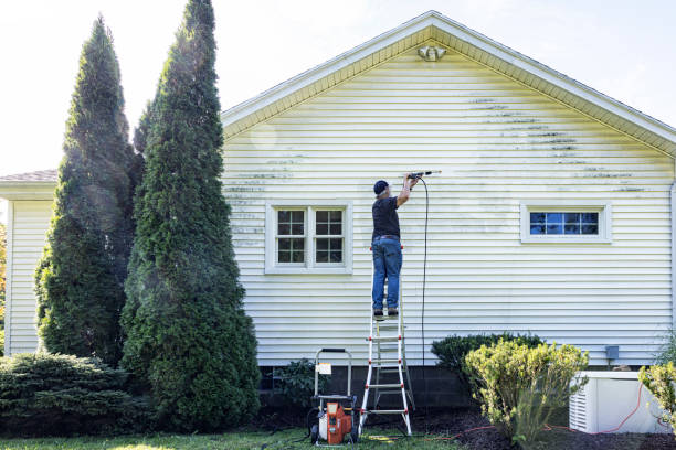 Reliable Paradise Valley, AZ Pressure Washing Solutions