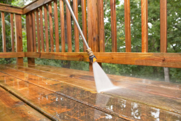 Best Roof Pressure Washing  in Paradise Valley, AZ