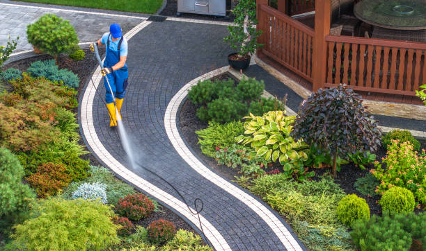 Local Pressure Washing Services in Paradise Valley, AZ