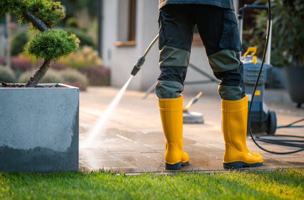 Best Fence Pressure Washing  in Paradise Valley, AZ